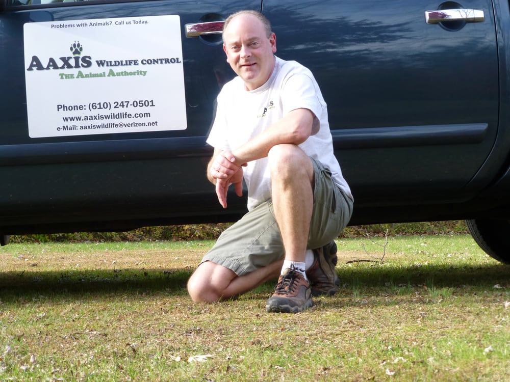 AAXIS WILDLIFE CONTROL, LLC Updated June 2024 Quakertown