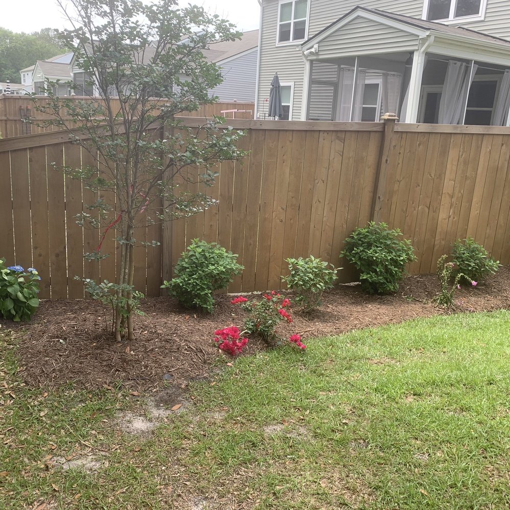 Fister Landscapes - Wall of hydrangeas - Landscaping Near Me Fister Landscapes - Wall of hydrangeas - Landscaping Near Me