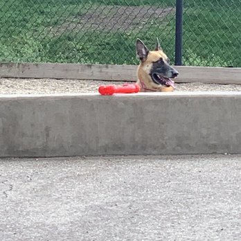 Ward Dog Friendly Area - Come and get it - Dog Parks Near Me - Chicago, Illinois