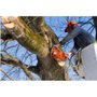 Photo of Armando's Tree Service