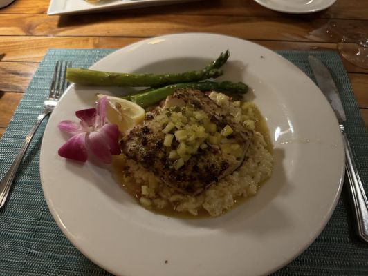 Butterfly Café by null