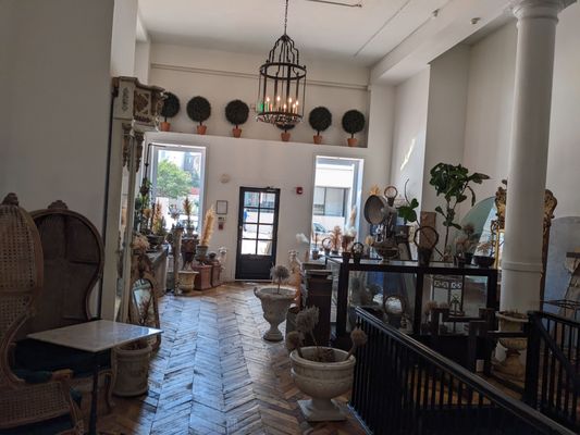 The Buttonwood by null