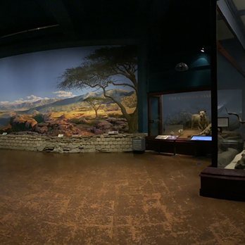 Field Museum - Africa landscape - Museums Near Me - Chicago, Illinois