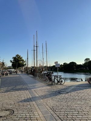 Fangfrisch by null