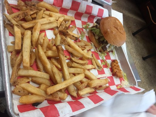 Jackson Coney Island by null