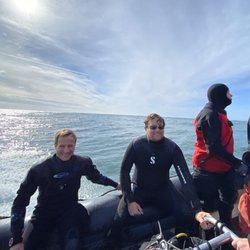Big Squid Diving