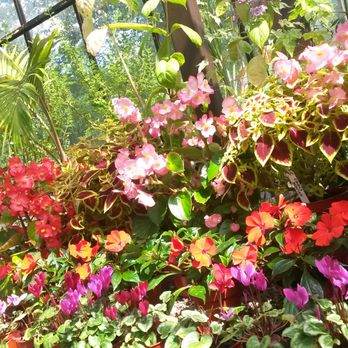 Glasgow Botanic Gardens - Parks Near Me - Glasgow, GLG