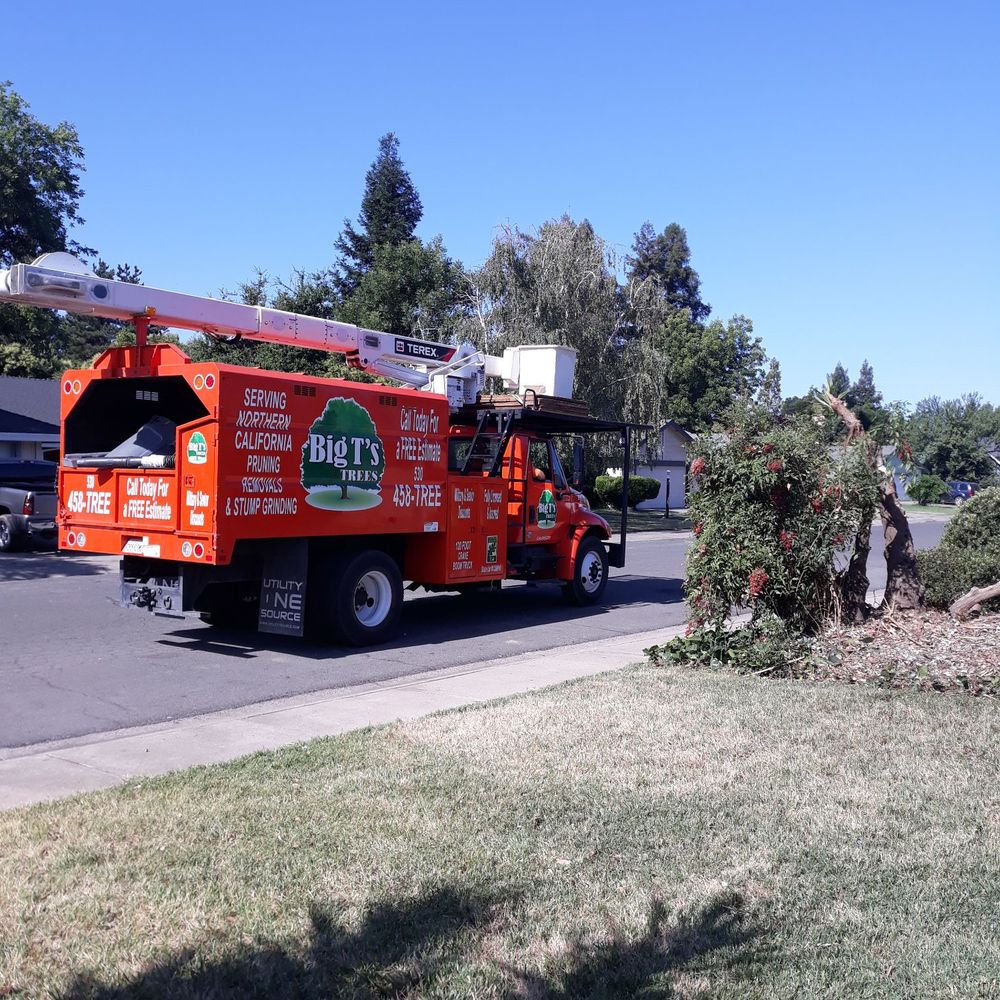 Big T's Trees - Bye guys and thanks! - Tree Services Near Me