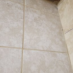 Mold all over the showers Mold all over the showers