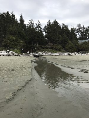 Chesterman Beach by null