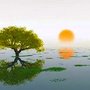 Photo of Island Healing Chiropractic