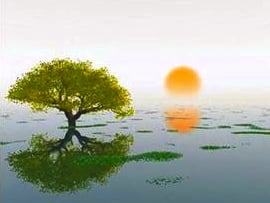 Island Healing Chiropractic Image