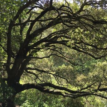 Skyline Wilderness Park - Parks Near Me - Napa, California