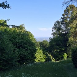 Jagdschloss Platte - Blick auf den Rhein von der Platte aus