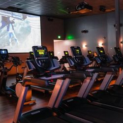 The Edge Fitness Clubs