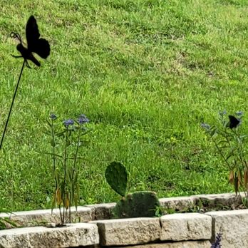 Flat Creek Estate Winery & Vineyard - Can you see the real butterfly - Wineries Near Me - Marble Falls, Texas Flat Creek Estate Winery & Vineyard - Can you see the real butterfly - Wineries Near Me - Marble Falls, Texas