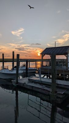 Hooked Up Seafood by null