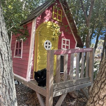 Hicksville Pines - Hotels Near Me - Idyllwild, California