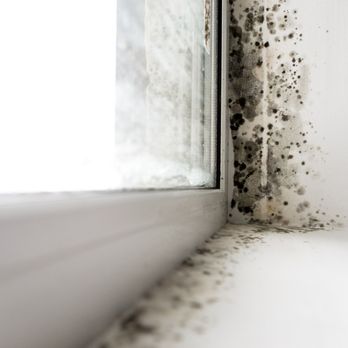 AdvantaClean of Dublin - Damage Restoration Near Me - Delaware, Ohio AdvantaClean of Dublin - Damage Restoration Near Me - Delaware, Ohio