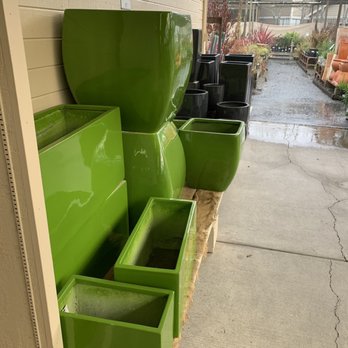 Sloat Garden Center - Green and black - Nurseries & Gardening Near Me - Martinez, California Sloat Garden Center - Green and black - Nurseries & Gardening Near Me - Martinez, California