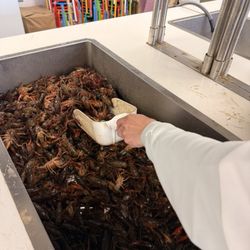 Crawfish Market