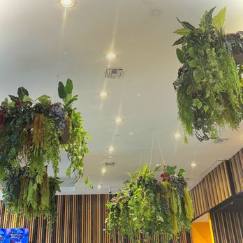 Bocas Grill Doral - Latin American Near Me - Doral, Florida