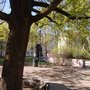 Photo of Treet på Schous plass
