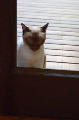 Legado Mítico Buenos Aires by null