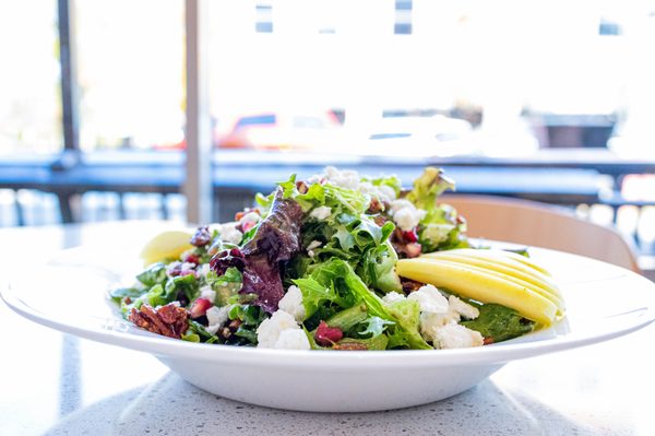 Anna's House - Westland by null