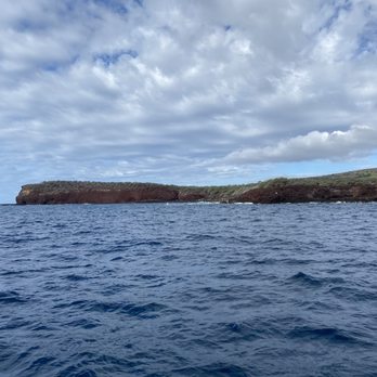 Trilogy Excursions - Snorkeling Near Me - Lahaina, Hawaii