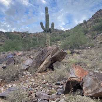 Piestewa Peak - Beautiful Sonoran Desert in town - Parks Near Me - Phoenix, Arizona