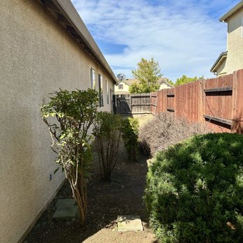 Barriga Landscaping - Landscaping Near Me