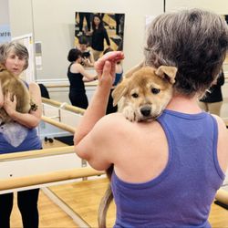Barre3-Carmel Valley