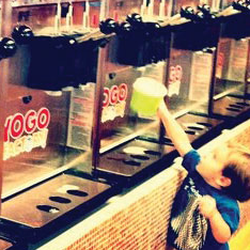 Yogo Factory