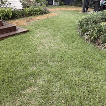Super Sod - Charleston - Nurseries & Gardening Near Me - North Charleston, South Carolina Super Sod - Charleston - Nurseries & Gardening Near Me - North Charleston, South Carolina