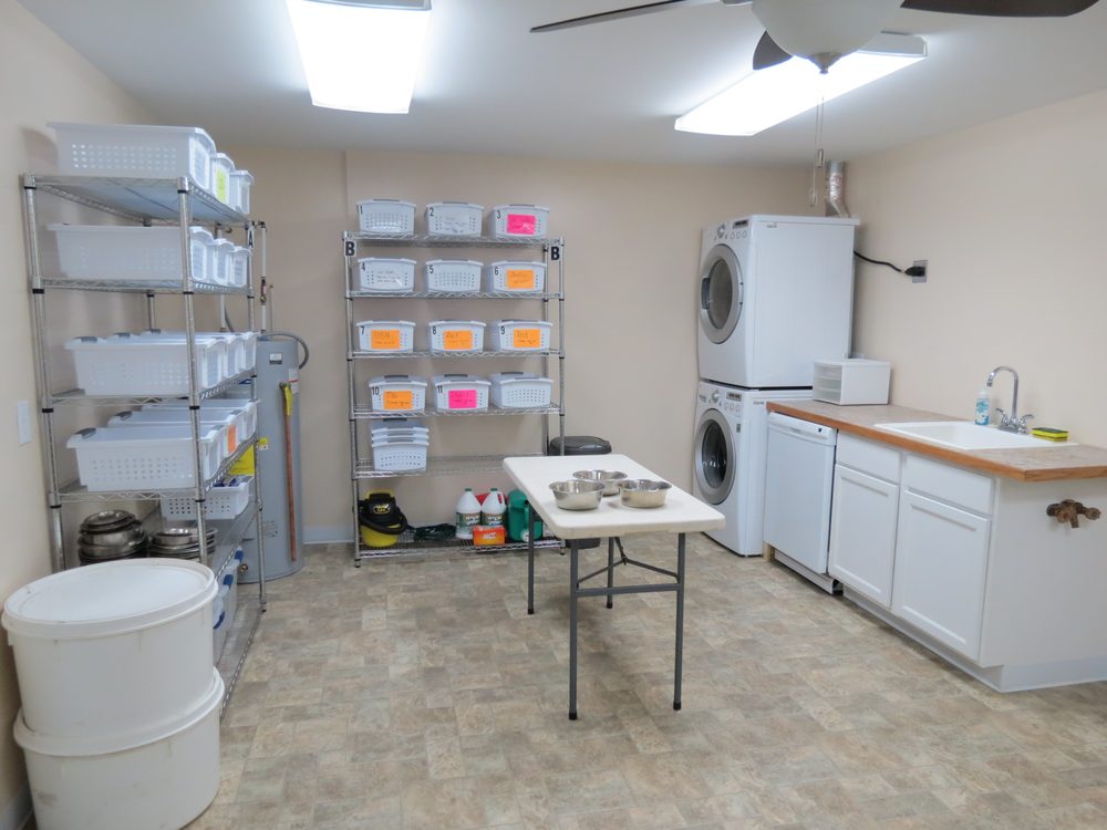 WEST WIND KENNELS Updated September 2024 4150 Baker Rd, Glennie