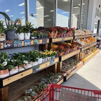 Trader Joe's - Grocery Near Me - Northridge, California