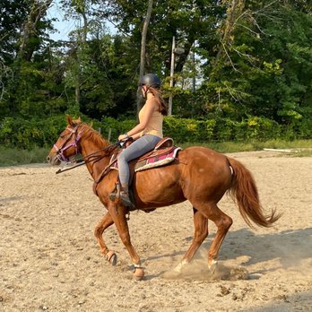 Gold Rush Farms - Horseback Riding Near Me - Easton, Connecticut