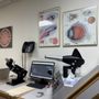 Photo of Fiore Philip M MD