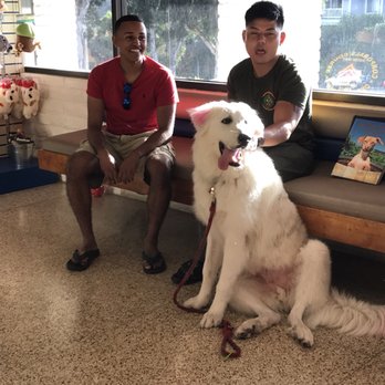 The Animal Keeper - Pet Sitting Near Me - Encinitas, California The Animal Keeper - Pet Sitting Near Me - Encinitas, California