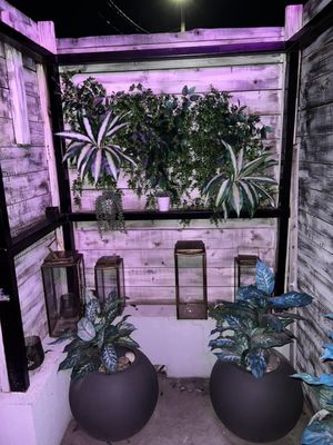 Sugar Room by null