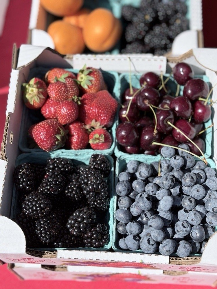 Wilsonville Farmers Market Logo