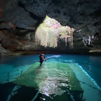 Devil's Den Prehistoric Spring - Devils den - Scuba Diving Near Me - Williston, Florida Devil's Den Prehistoric Spring - Devils den - Scuba Diving Near Me - Williston, Florida