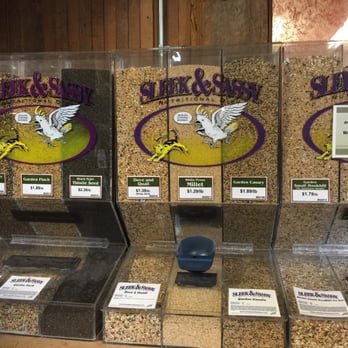 Down To Earth - Look at these bulk seed choices! - Nurseries & Gardening Near Me - Eugene, Oregon