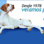 Photo of Ars Veterinaria