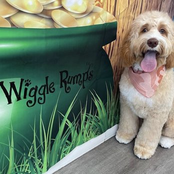 Classy Canine's Wiggle Rumps - Pet Groomers Near Me - Castrovalley, California
