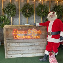 Daman And Kim's Christmas Trees - Santa has been known to stop by quite often!