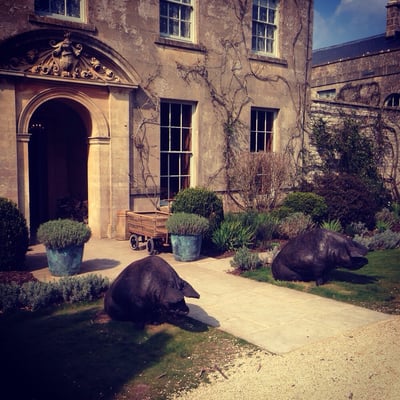 THE PIG-near Bath by null