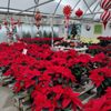 Pleasant Valley Greenhouses & Nursery gift card