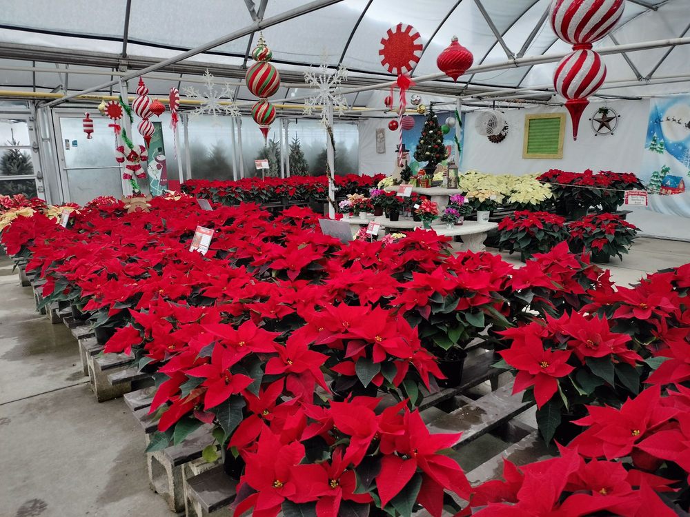 Social spots from Pleasant Valley Greenhouses & Nursery